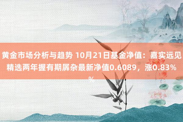 黄金市场分析与趋势 10月21日基金净值：嘉实远见精选两年握有期羼杂最新净值0.6089，涨0.83%