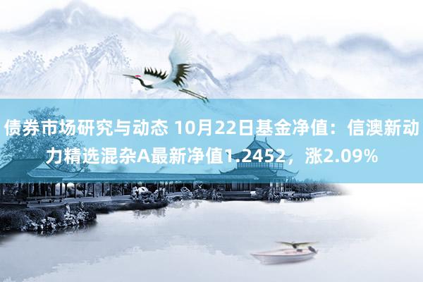 债券市场研究与动态 10月22日基金净值：信澳新动力精选混杂A最新净值1.2452，涨2.09%