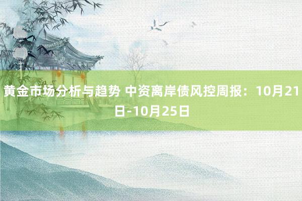 黄金市场分析与趋势 中资离岸债风控周报：10月21日-10月25日