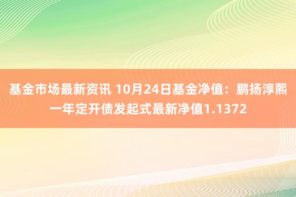 基金市场最新资讯 10月24日基金净值：鹏扬淳熙一年定开债发起式最新净值1.1372