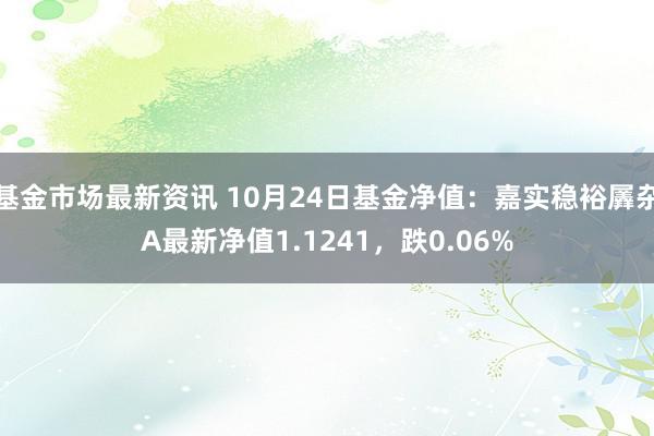 基金市场最新资讯 10月24日基金净值：嘉实稳裕羼杂A最新净值1.1241，跌0.06%