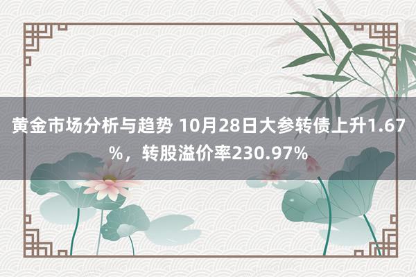 黄金市场分析与趋势 10月28日大参转债上升1.67%，转股溢价率230.97%