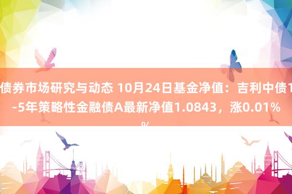 债券市场研究与动态 10月24日基金净值：吉利中债1-5年策略性金融债A最新净值1.0843，涨0.01%