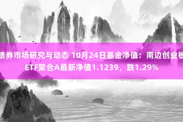 债券市场研究与动态 10月24日基金净值：南边创业板ETF聚合A最新净值1.1239，跌1.29%