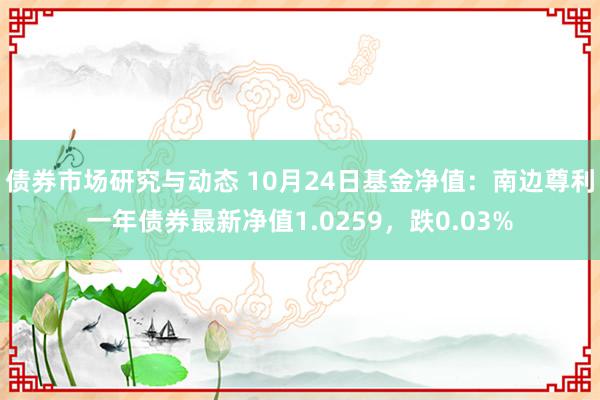 债券市场研究与动态 10月24日基金净值：南边尊利一年债券最新净值1.0259，跌0.03%