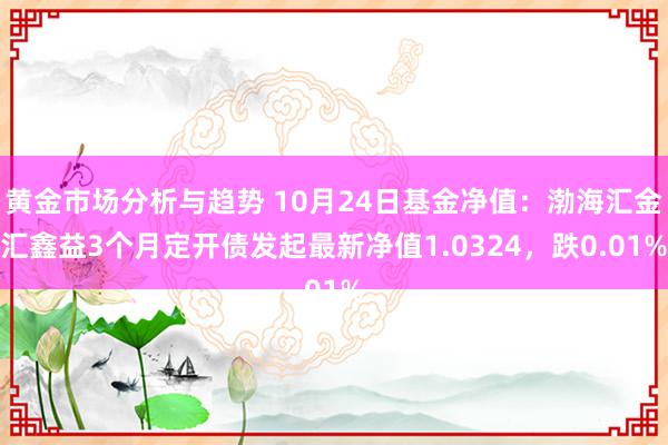 黄金市场分析与趋势 10月24日基金净值：渤海汇金汇鑫益3个月定开债发起最新净值1.0324，跌0.01%