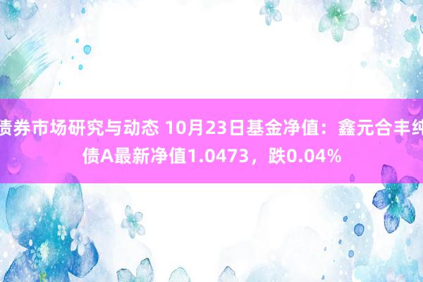 债券市场研究与动态 10月23日基金净值：鑫元合丰纯债A最新净值1.0473，跌0.04%