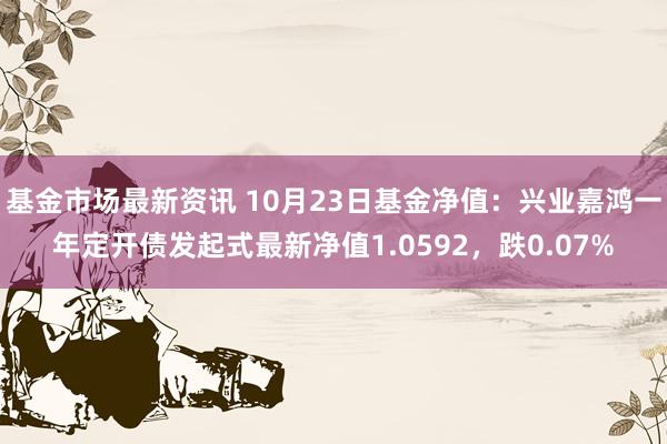 基金市场最新资讯 10月23日基金净值：兴业嘉鸿一年定开债发起式最新净值1.0592，跌0.07%