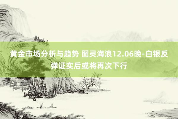 黄金市场分析与趋势 图灵海浪12.06晚-白银反弹证实后或将再次下行