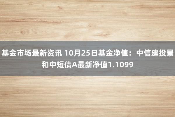 基金市场最新资讯 10月25日基金净值：中信建投景和中短债A最新净值1.1099