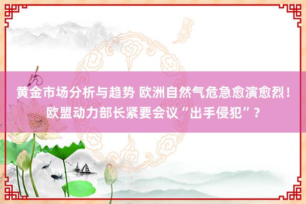 黄金市场分析与趋势 欧洲自然气危急愈演愈烈！欧盟动力部长紧要会议“出手侵犯”？