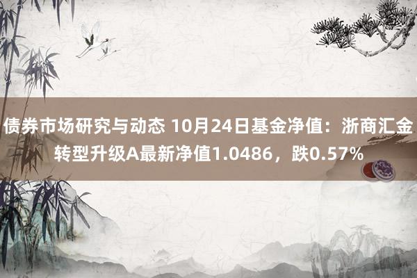 债券市场研究与动态 10月24日基金净值：浙商汇金转型升级A最新净值1.0486，跌0.57%