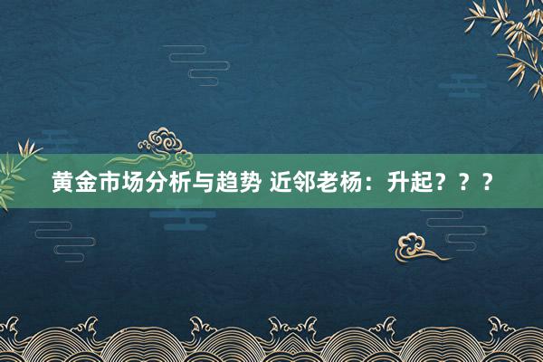 黄金市场分析与趋势 近邻老杨：升起？？？