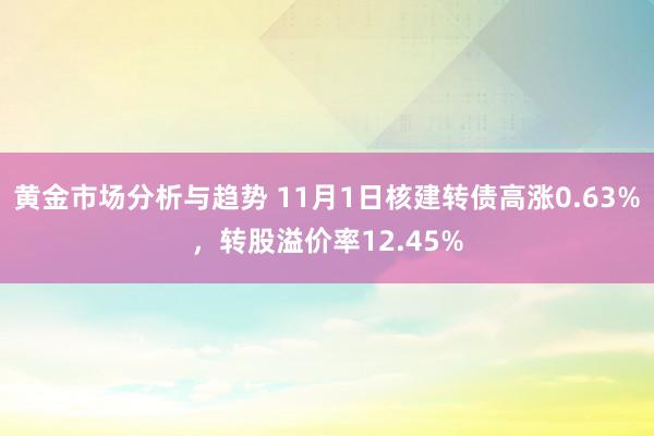 黄金市场分析与趋势 11月1日核建转债高涨0.63%，转股溢价率12.45%