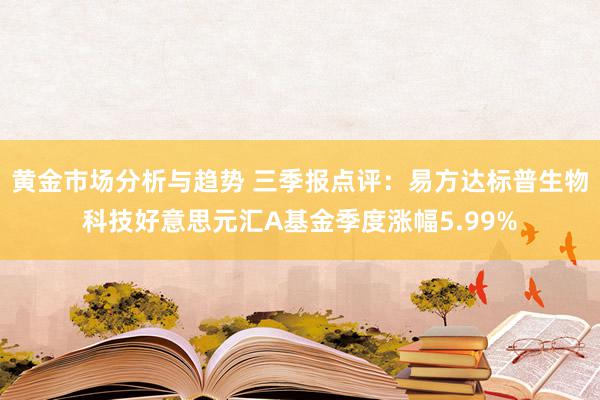 黄金市场分析与趋势 三季报点评：易方达标普生物科技好意思元汇A基金季度涨幅5.99%