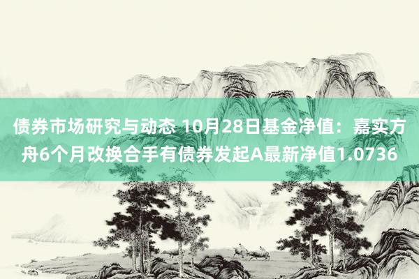 债券市场研究与动态 10月28日基金净值：嘉实方舟6个月改换合手有债券发起A最新净值1.0736