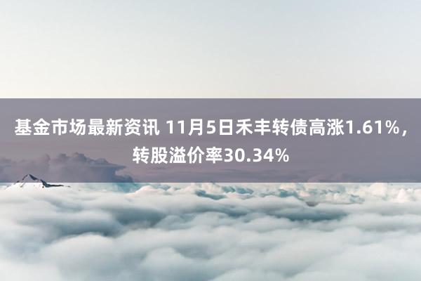 基金市场最新资讯 11月5日禾丰转债高涨1.61%，转股溢价率30.34%