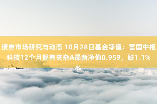 债券市场研究与动态 10月28日基金净值：富国中枢科技12个月握有夹杂A最新净值0.959，跌1.1%