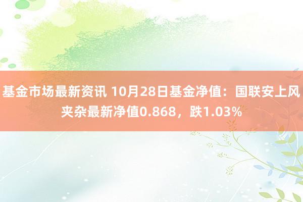 基金市场最新资讯 10月28日基金净值：国联安上风夹杂最新净值0.868，跌1.03%