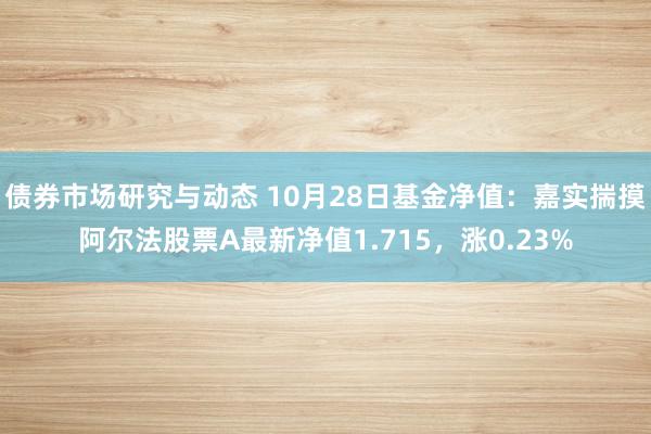 债券市场研究与动态 10月28日基金净值：嘉实揣摸阿尔法股票A最新净值1.715，涨0.23%