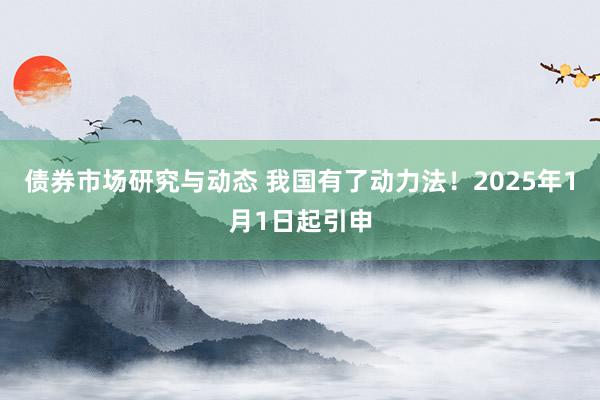 债券市场研究与动态 我国有了动力法！2025年1月1日起引申