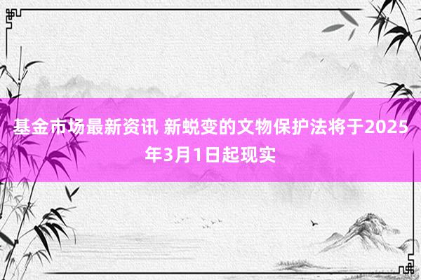 基金市场最新资讯 新蜕变的文物保护法将于2025年3月1日起现实