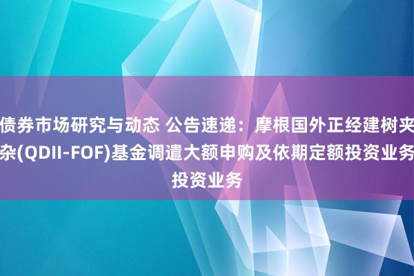 债券市场研究与动态 公告速递：摩根国外正经建树夹杂(QDII-FOF)基金调遣大额申购及依期定额投资业务