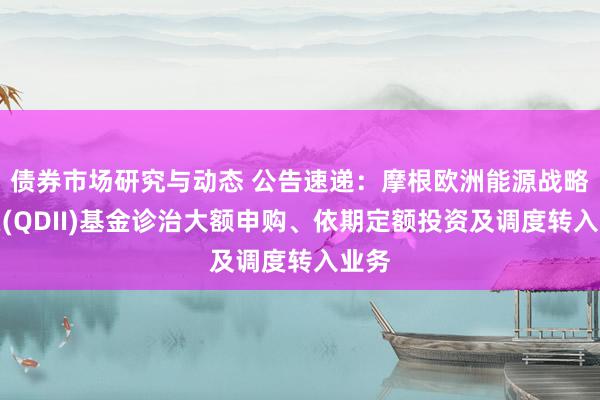 债券市场研究与动态 公告速递：摩根欧洲能源战略股票(QDII)基金诊治大额申购、依期定额投资及调度转入业务