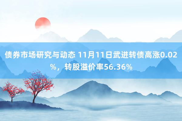 债券市场研究与动态 11月11日武进转债高涨0.02%，转股溢价率56.36%