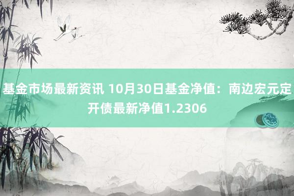 基金市场最新资讯 10月30日基金净值：南边宏元定开债最新净值1.2306