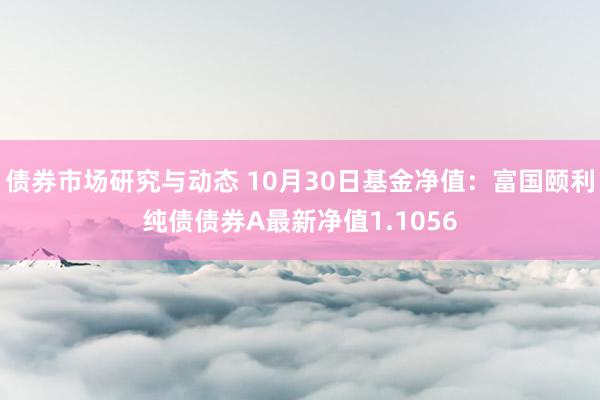 债券市场研究与动态 10月30日基金净值：富国颐利纯债债券A最新净值1.1056