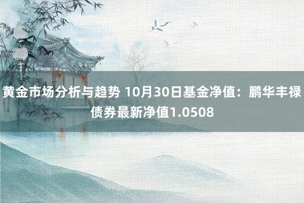 黄金市场分析与趋势 10月30日基金净值：鹏华丰禄债券最新净值1.0508