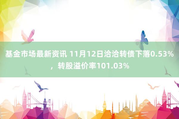 基金市场最新资讯 11月12日洽洽转债下落0.53%，转股溢价率101.03%