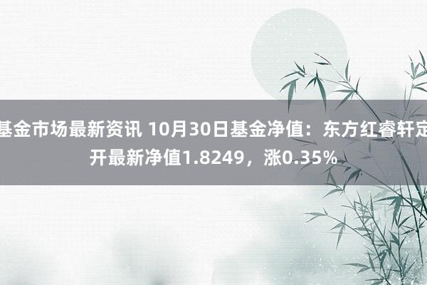 基金市场最新资讯 10月30日基金净值：东方红睿轩定开最新净值1.8249，涨0.35%