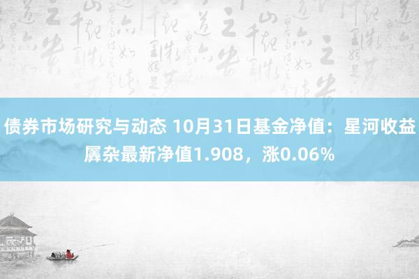 债券市场研究与动态 10月31日基金净值：星河收益羼杂最新净值1.908，涨0.06%