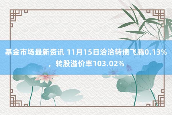 基金市场最新资讯 11月15日洽洽转债飞腾0.13%，转股溢价率103.02%