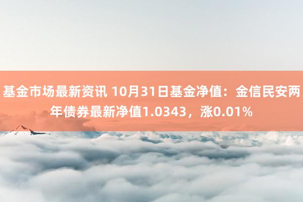 基金市场最新资讯 10月31日基金净值：金信民安两年债券最新净值1.0343，涨0.01%