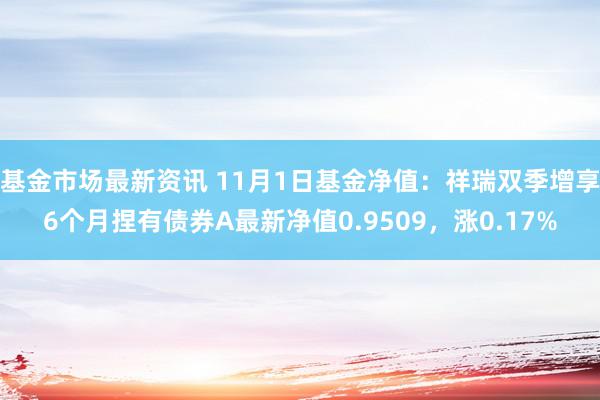 基金市场最新资讯 11月1日基金净值：祥瑞双季增享6个月捏有债券A最新净值0.9509，涨0.17%