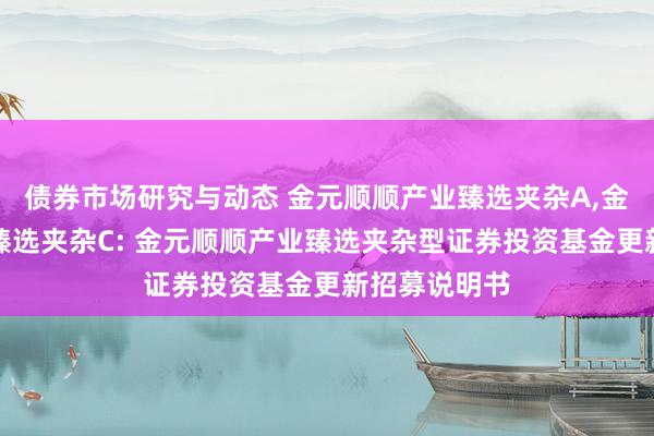 债券市场研究与动态 金元顺顺产业臻选夹杂A,金元顺顺产业臻选夹杂C: 金元顺顺产业臻选夹杂型证券投资基金更新招募说明书