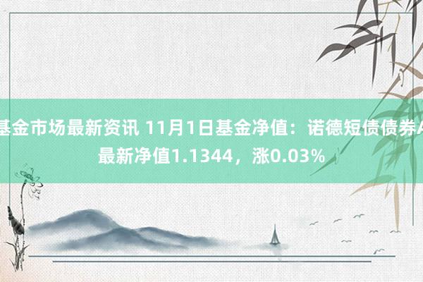 基金市场最新资讯 11月1日基金净值：诺德短债债券A最新净值1.1344，涨0.03%