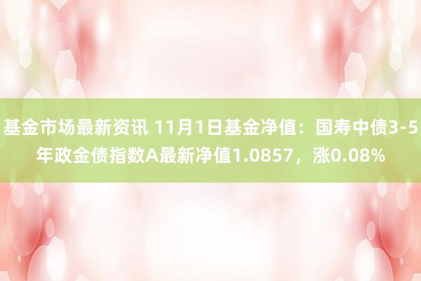 基金市场最新资讯 11月1日基金净值：国寿中债3-5年政金债指数A最新净值1.0857，涨0.08%