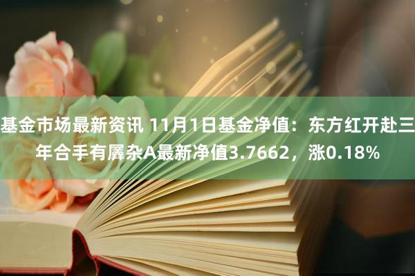 基金市场最新资讯 11月1日基金净值：东方红开赴三年合手有羼杂A最新净值3.7662，涨0.18%