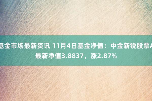 基金市场最新资讯 11月4日基金净值：中金新锐股票A最新净值3.8837，涨2.87%