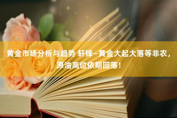 黄金市场分析与趋势 轩锋—黄金大起大落等非农，原油高位依期回落！