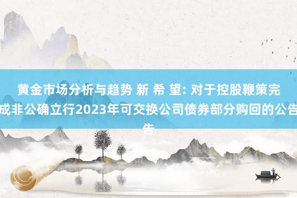 黄金市场分析与趋势 新 希 望: 对于控股鞭策完成非公确立行2023年可交换公司债券部分购回的公告