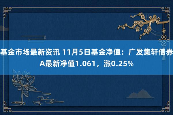 基金市场最新资讯 11月5日基金净值：广发集轩债券A最新净值1.061，涨0.25%