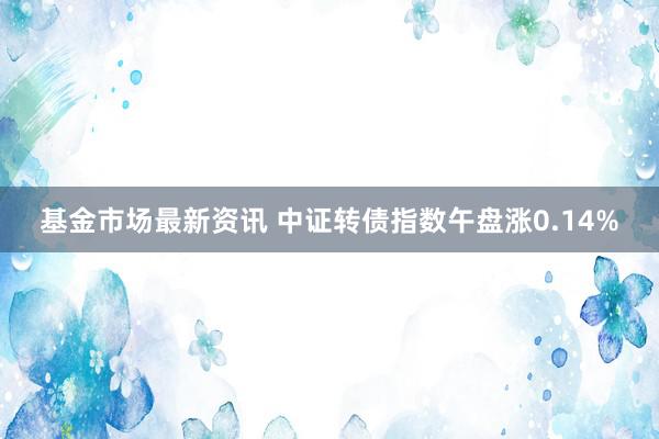 基金市场最新资讯 中证转债指数午盘涨0.14%