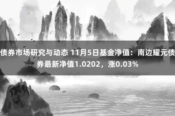 债券市场研究与动态 11月5日基金净值：南边耀元债券最新净值1.0202，涨0.03%