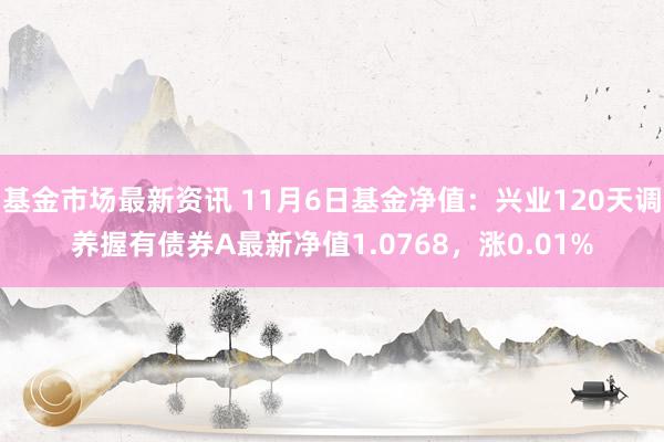 基金市场最新资讯 11月6日基金净值：兴业120天调养握有债券A最新净值1.0768，涨0.01%