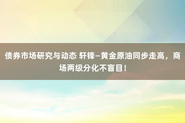 债券市场研究与动态 轩锋—黄金原油同步走高，商场两级分化不盲目！